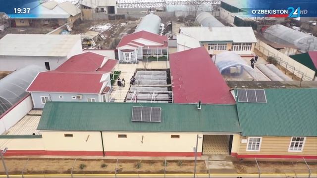 Определены меры по усилению контроля в энергоснабжении смотреть онлайн