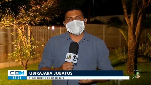 Ubirajara Jubatus o fóssil de dinossauro mais bizarro de todos os tempo foi roubado pelos Alemães смотреть онлайн