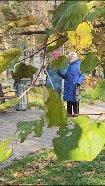 Коммунарка в ноябре 🍁 смотреть онлайн