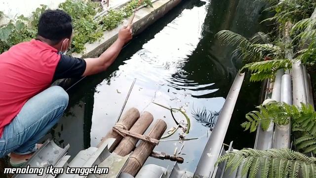 Eksperimen 3 umpan legendaris manakah yang paling ampuh? смотреть онлайн