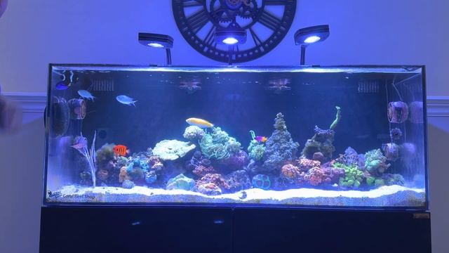 Waterbox 65.4 aio update!! смотреть онлайн