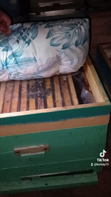 🐝🐝🐝🐝🐝❄️❄️❄️🏠🏠🏠🏠 смотреть онлайн
