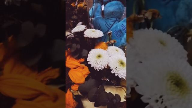 Stuck On You смотреть онлайн