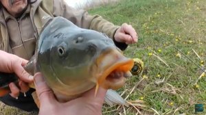 Рыбалка. Привольное 2-й пруд. Ставропольский край.