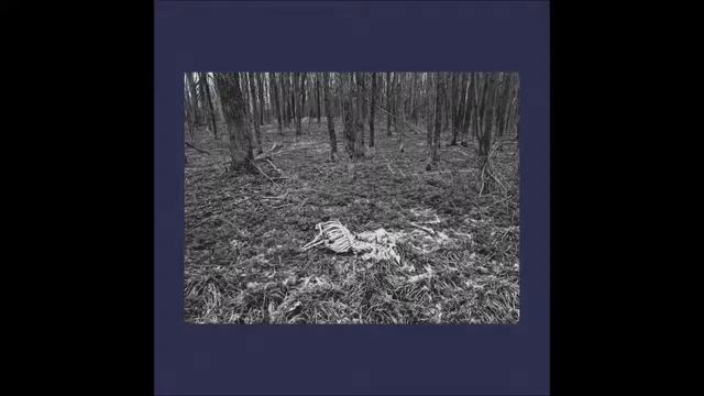 Blue Noise - Everyone Goes Away Eventually (2019) [Full] смотреть онлайн
