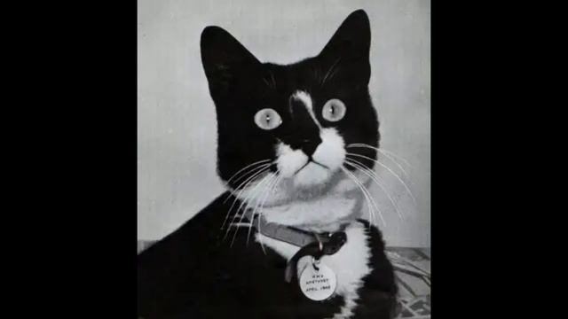 Задание 2 НЕПОТОПЛЯЕМЫЙ СЭМ