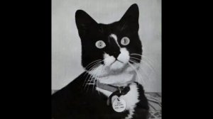 Задание 2 НЕПОТОПЛЯЕМЫЙ СЭМ