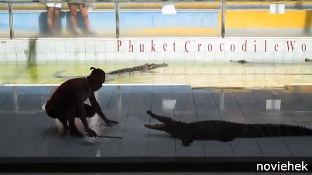 Тайланд. Пхукет. Шоу Сиамских крокодилов. февраль 2018год. смотреть онлайн