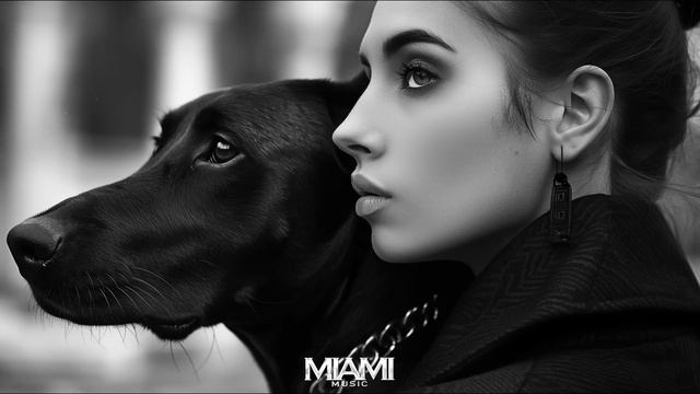 Top Mix Deep House Miami Music 2024 #mix #deephouse смотреть онлайн