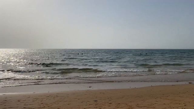 FLAMINGO BEACH in Ras Al Khaimah || Summer Getaway in UAE смотреть онлайн