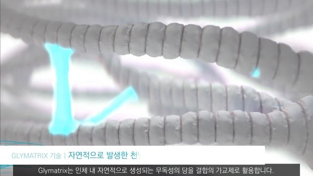 GBR & GTR을 위한 Ossix 재생 솔루션, 그리고 GLYMATRIX 기술 смотреть онлайн