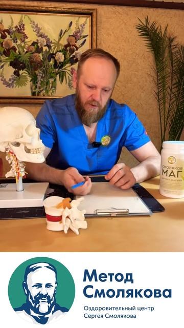 межпозвоночная грыжа можно ли заниматься в спортзале смотреть онлайн