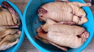 Вес тушки утка Черри велли 65 дней