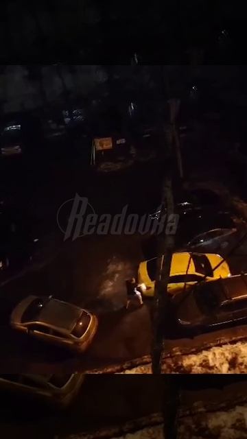 Пьяный питерский таксист побил 8 машин во дворе и чуть не задавил людей смотреть онлайн