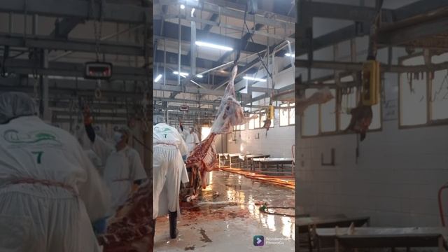 How To Butcher An Entire Cow: Every Cut Of Meat Explained | Bon Appetit I slaughteredکھال اتارتے ن смотреть онлайн