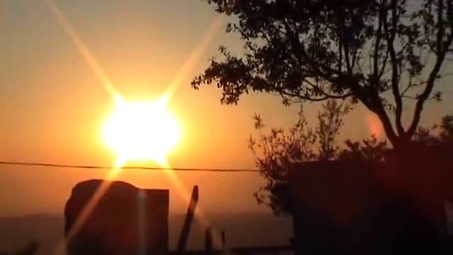 Palestine Summer Encounter 2010 смотреть онлайн