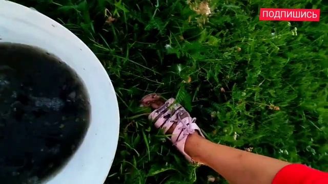 ЩУКА ЛЕТО РЫБАЛКА СЕТКА смотреть онлайн