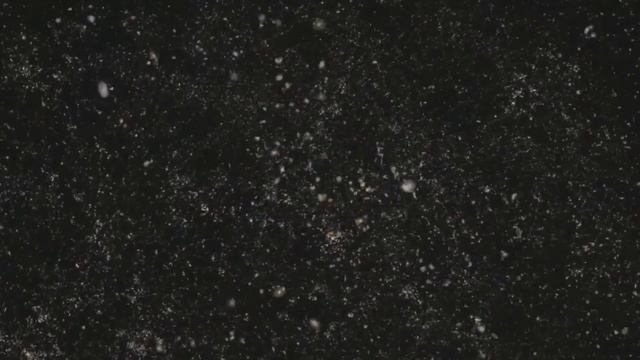 Sky Survey. Real Galaxies.