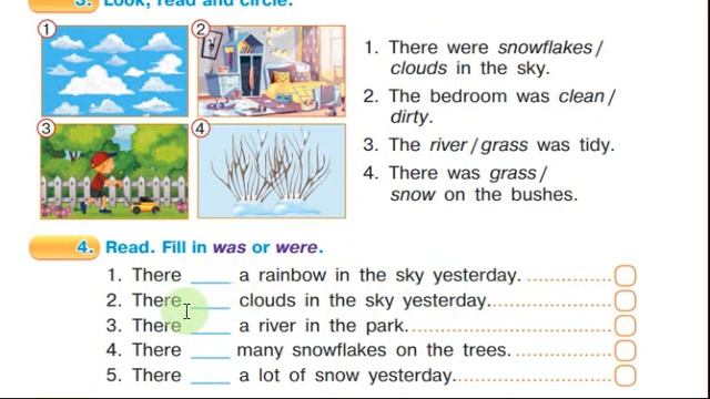 Будна 3 клас НУШ Тема 8 Урок 4 сторінкa 81 & Workbook смотреть онлайн