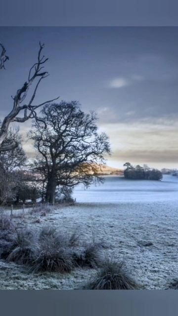 Природные явления Зимой часть 1 смотреть онлайн