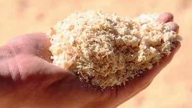 Экологический проект линёвских школьников смотреть онлайн