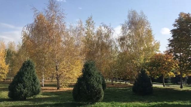 Алматы. Наша осень. Октябрь смотреть онлайн