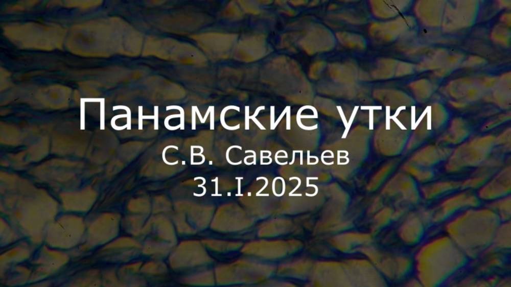 С.В. Савельев - Панамские утки смотреть онлайн