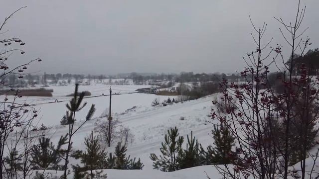 Новый год 2022 с живой елкой смотреть онлайн