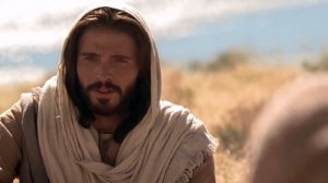 ОСТОРОЖНО, СЕКТА! / Какая церковь является сектой?