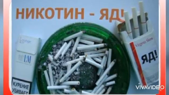 "Когда не стоит быть как все". смотреть онлайн