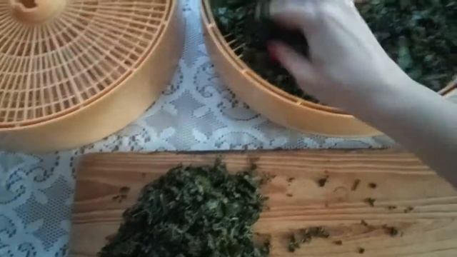 Волшебный аромат Иван-чая 🌺🤗🌺 смотреть онлайн