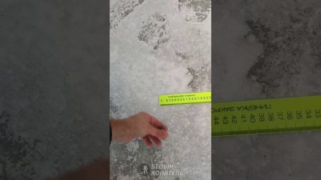 Первое "погружение" Minelab Manticore и воздушный тест на 5кЕ2 и чешую смотреть онлайн