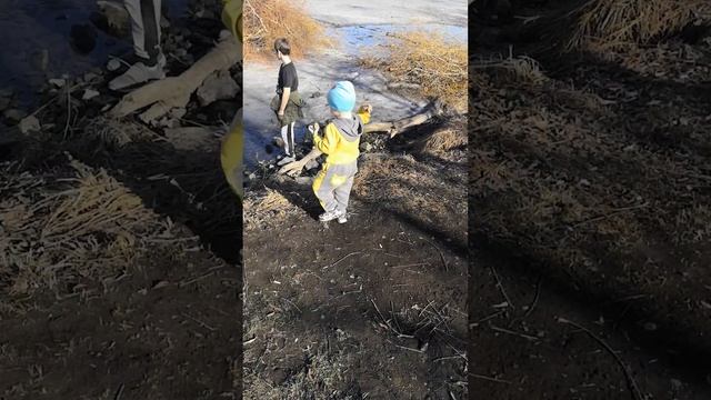 Кидает большие камни🤘👍👌 смотреть онлайн