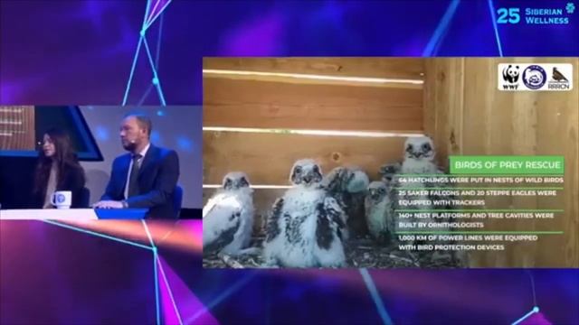 Экологические проекты 25 бизнес года Siberian Wellness смотреть онлайн