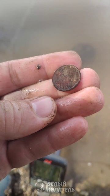 Minelab Equinox 600 собираю находки после Nokta legend смотреть онлайн