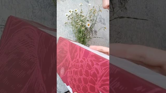 Т8 TEO – твой личный помощник в вопросах похудения и красивого тела!