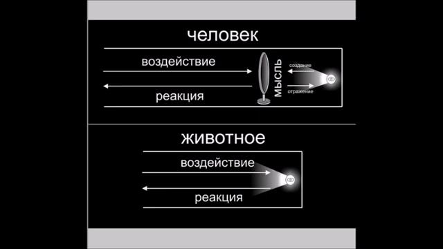 отражающее свойство точкой - опорой своего создателя смотреть онлайн