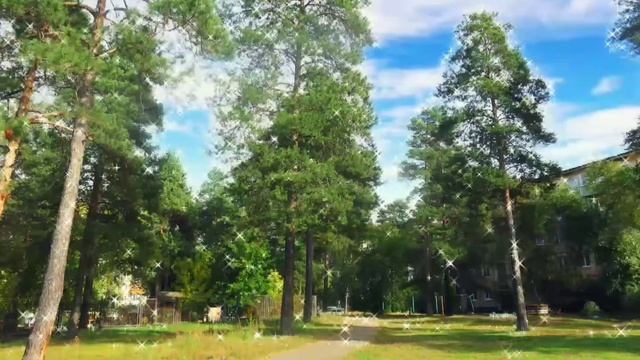 фотовидеозарисовка # осенний марафон 2# для монтажа,бесплатно) 21.09.2021 смотреть онлайн