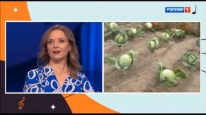 Песни от всей души 06.10.2024