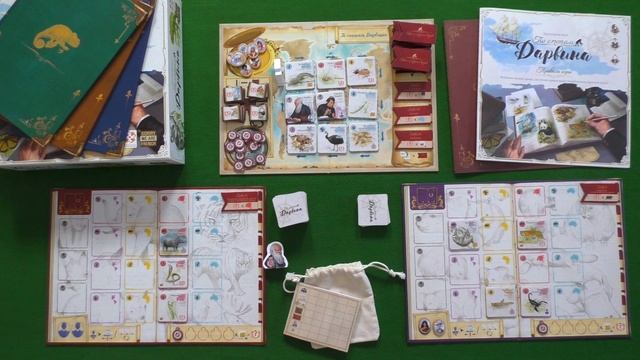 5 ХОДОВ в настольную игру "ПО СТОПАМ ДАРВИНА". Правила и игровой процесс смотреть онлайн