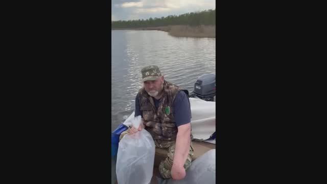 Зарыбили малька щуки. Озеро Шейно смотреть онлайн