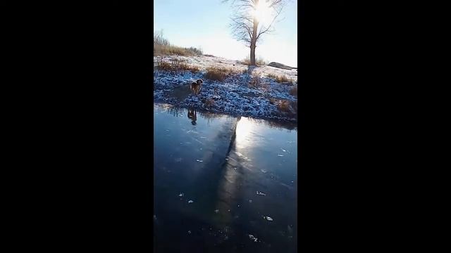Лед как стекло смотреть онлайн