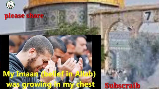 E meri kom ke rehnuman bhi sune | Me philestien hu | Imran partabgadi. смотреть онлайн