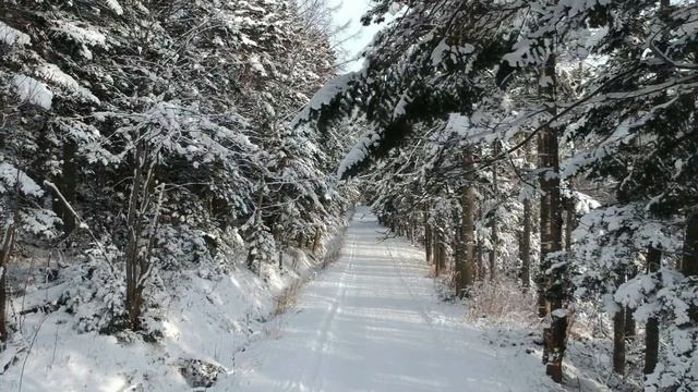 Первый снег смотреть онлайн