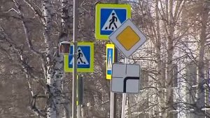 06.03.17 Искусственная неровность на дороге и знаки ограничения скорости. Автор - Иван Петренко