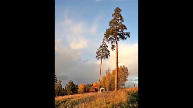 "Минута для будущего" смотреть онлайн