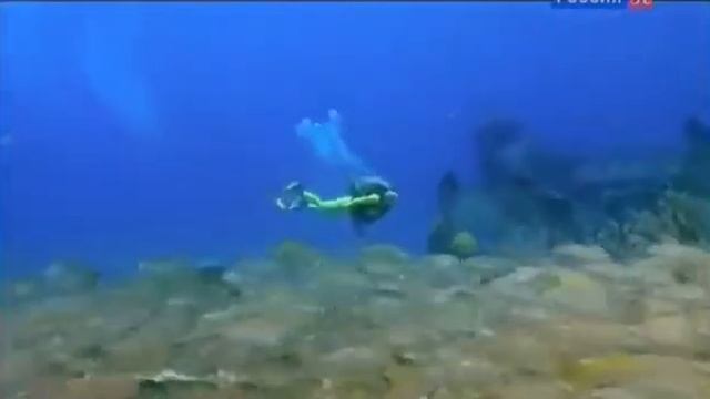 Подводный мир.Жизнь в океане. смотреть онлайн