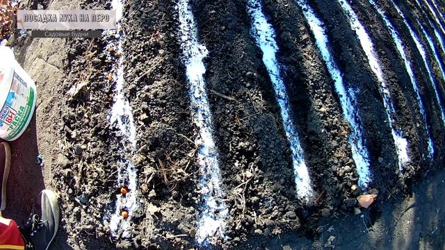 Посадка лука на перо на зелень садовые будни смотреть онлайн