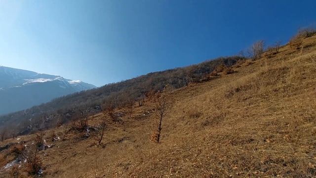 Чудесная природа на Кавказе. смотреть онлайн