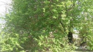 обо всем по немногу